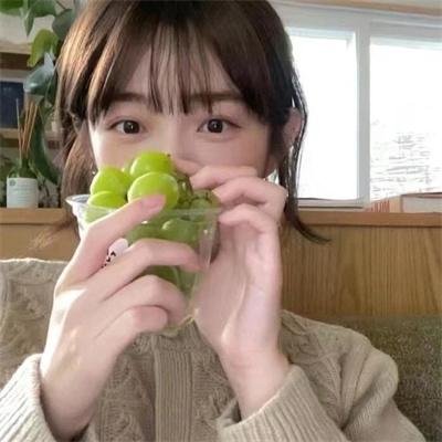 森林海报