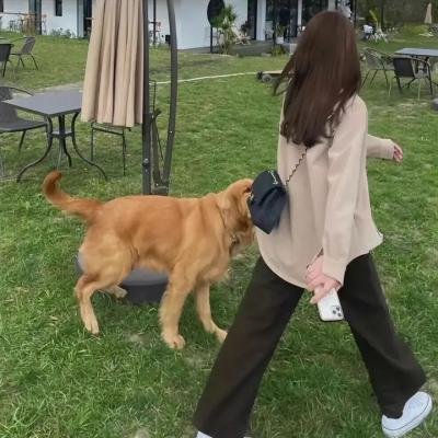 双面宠妃闯关记海报